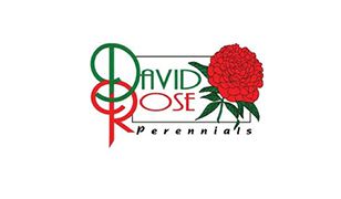 David-Rose-Perennials