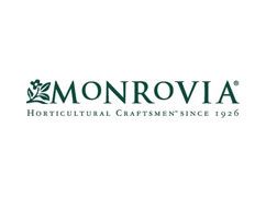 monrovia