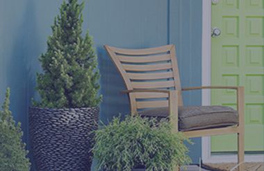 trees and shrubs